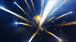 Gif animé feux d'artifices 81